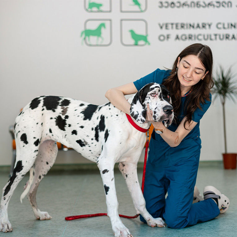 Ბარბარე Ქურციკიძე