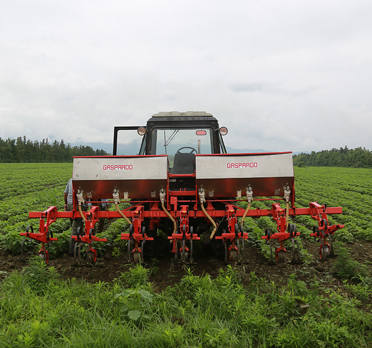 Agr Bazebi Abasha 1 (1)