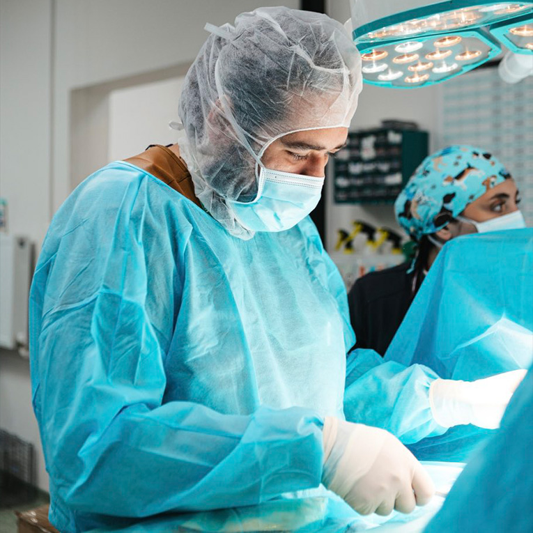 Ფისო Თინა