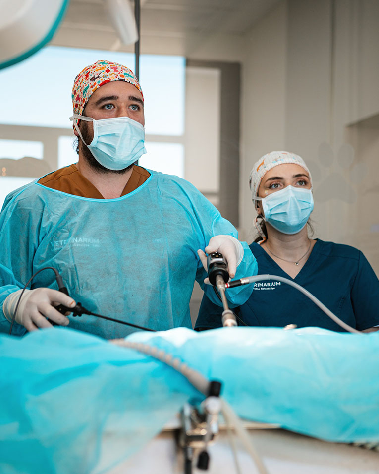 Sterilizacia 2