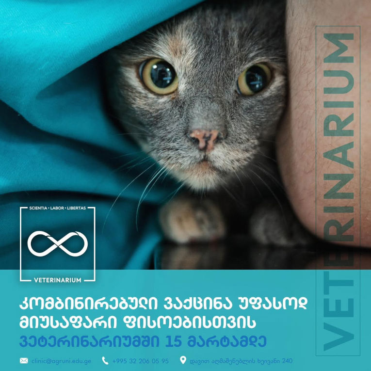 Ვაქცინა