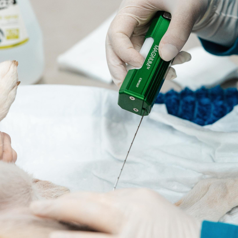 Ბიოფსია2