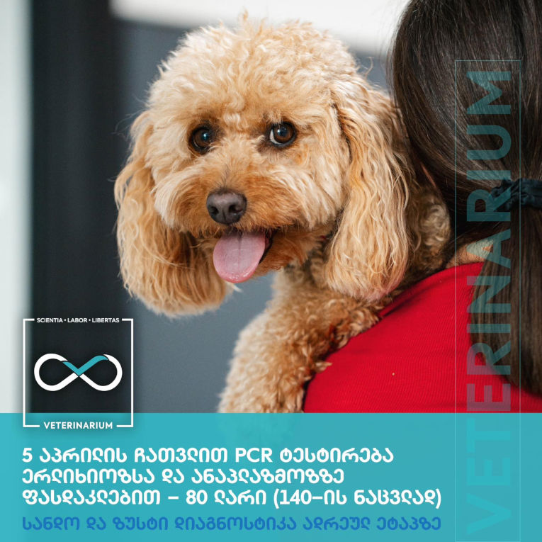 Ერლიხიოზა1