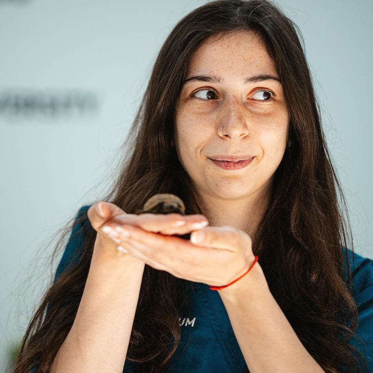 Ნინო Ყუშიტაშვილი